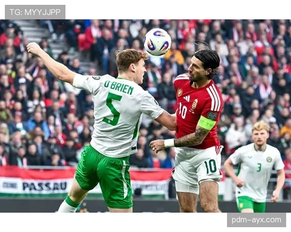 爱尔兰世界杯历史表现回顾：三次参赛均止步十六强