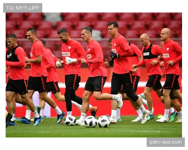 波兰世界杯小组